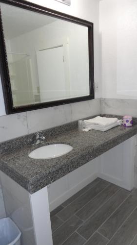 a bathroom counter with a sink and a mirror at ECONOMY INN in Brownfield