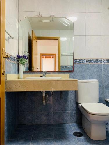 a bathroom with a sink and a toilet and a mirror at Lin House in Corralejo