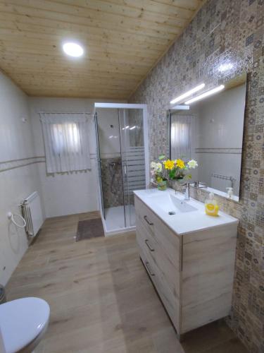a bathroom with a sink and a toilet and a mirror at Alojamiento Macarena in Burunchel