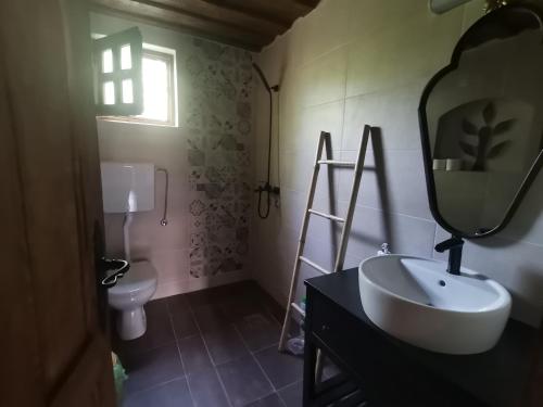 a bathroom with a sink and a mirror and a toilet at Seosko turističko domacinstvo Imunsan in Niš