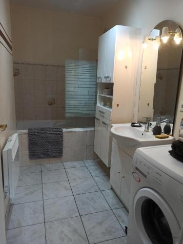 a bathroom with a washing machine and a sink at Joss Nath homes in Melun