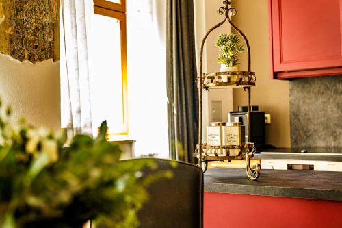 a potted plant on a stand in a kitchen at Ferienwohnungen Stadtboutique in Annaberg-Buchholz