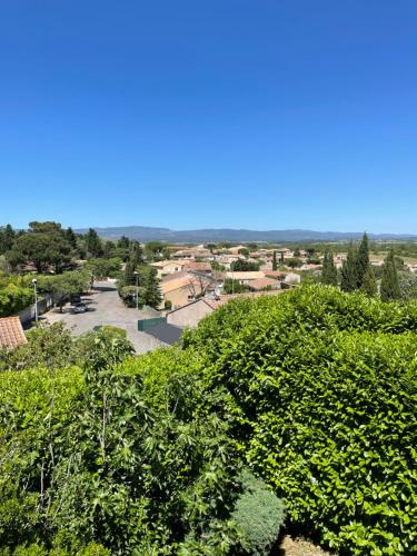 - une vue sur un parc depuis le sommet de quelques buissons dans l'établissement Les Orchidées, à Carcassonne