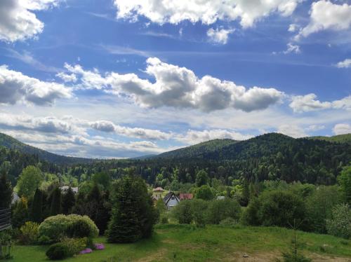 una casa in mezzo a un campo con alberi di Zakątek Włóczykija a Cisna