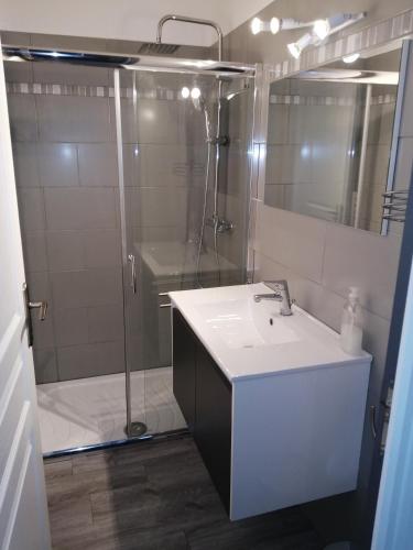 a bathroom with a shower and a sink and a sink at Chambre d'hôte Mas d'Alzon à St Jean du Pin in La Barriére