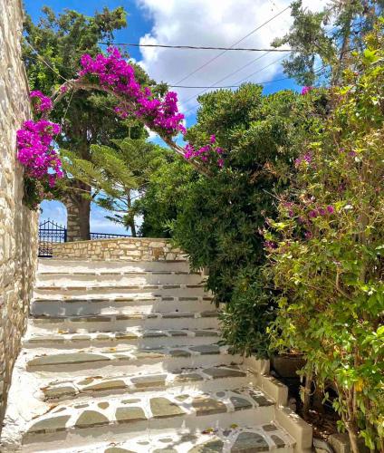 a set of stone stairs with purple flowers at Gaia home in Prodromos Paros