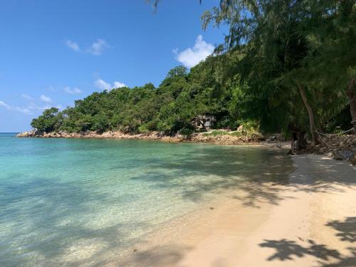 a sandy beach with trees and the ocean at Coconut Beach Bungalows in Chaloklum