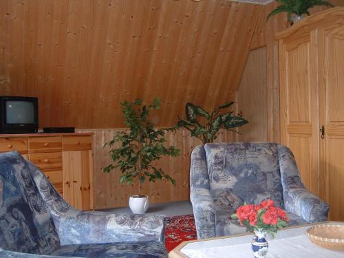 a living room with two chairs and a table with flowers at Ferienpark Rosstrappe in Thale