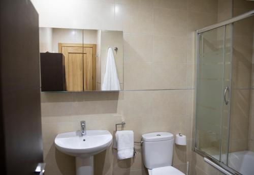 Apartamento Lomeña في غرناطة: حمام مع حوض ومرحاض ومرآة