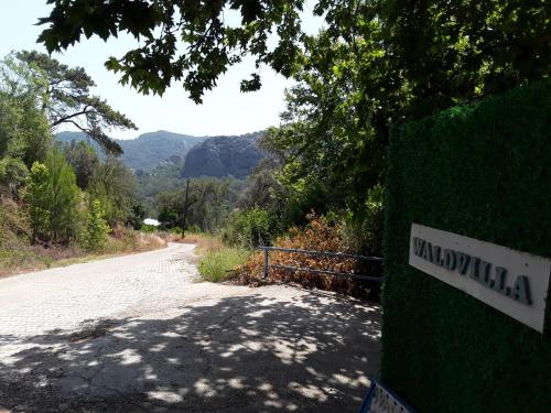 Waldvilla – Photos 5