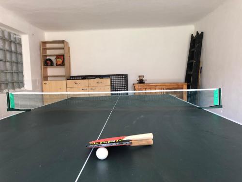 a ping pong table with a bat and a ball at Apartmány Jevany in Jevany