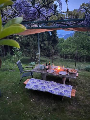 a picnic table in a yard with a table and chairs at Casa Lario in Naggio