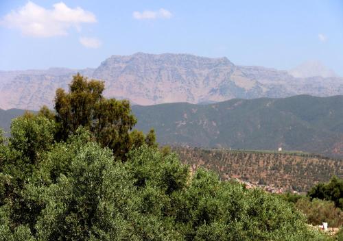 a view of a mountain range with trees and mountains at villa saada in Marrakech