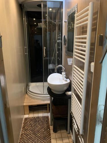 a bathroom with a sink and a shower and a toilet at CERTO Nautica in Bratislava