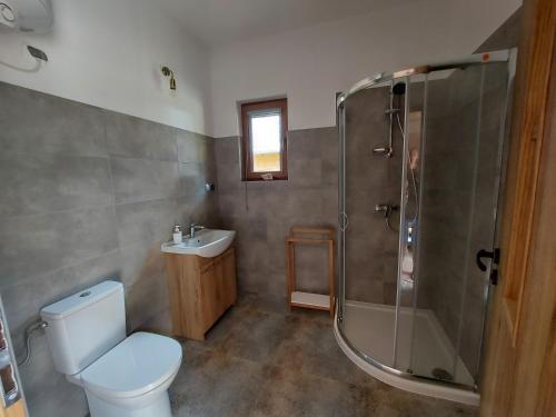 a bathroom with a shower and a toilet and a sink at Domki Pod Lasem in Ostrowo