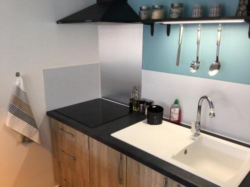 Kuchyň nebo kuchyňský kout v ubytování Charmant pied-à-terre coeur de ville