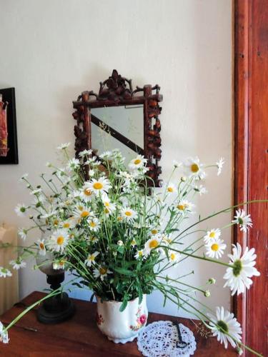 Φωτογραφία από το άλμπουμ του A lovely house in Vipava valley σε Vipava