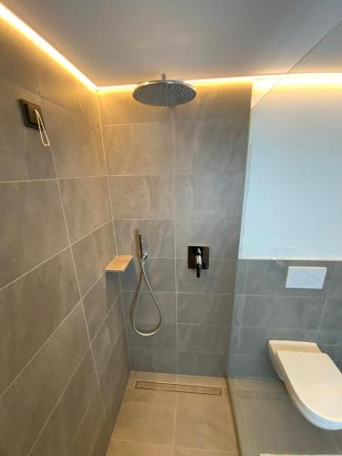 a bathroom with a shower with a toilet and a sink at Dorfblick Appartements & Rooms in Senales