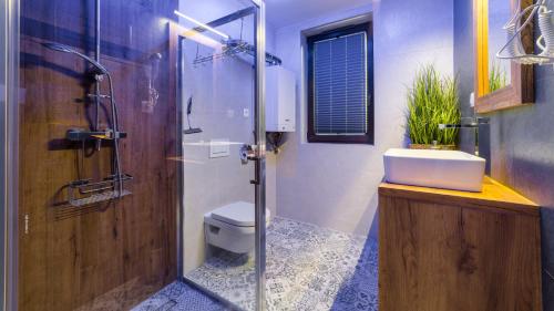 a bathroom with a shower and a toilet and a sink at ApartaLala, Apartament z ogrodem in Karpacz