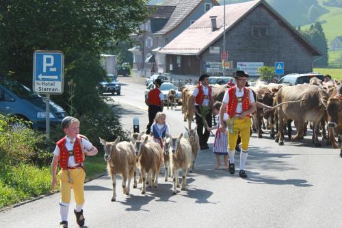 a herd of cattle walking down a street with people and children at Hotel-Restaurant Sternen in Nesslau