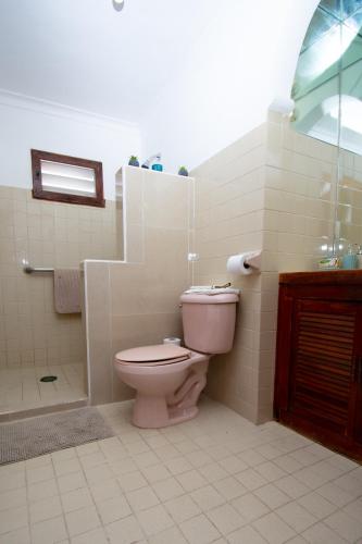 a bathroom with a pink toilet and a shower at Budgies in Cozumel