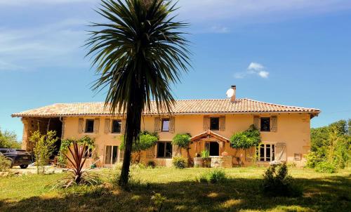 a palm tree in front of a house at La Première Vigne in Puycelci