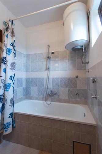 a bathroom with a bath tub with a shower at House Vranić Plitvice in Rakovica