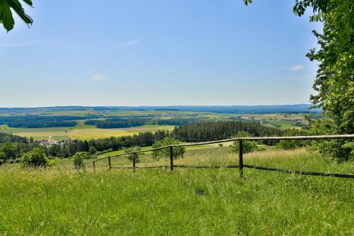 a fence on top of a field of grass at Hotel Kloster-Gasthof Speinshart in Eschenbach in der Oberpfalz