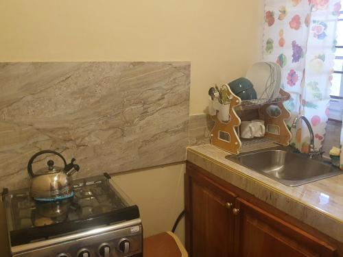 a kitchen counter with a stove and a sink at Mesmerize Guest House in Port Antonio