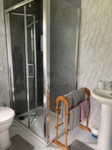 een badkamer met een douche, een toilet en een wastafel bij Church View in Omagh