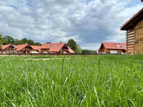 a field of tall green grass with houses in the background at Kaszubska Odskocznia Ostoja Bukowo in Borowy Młyn