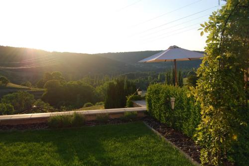 a view of a garden with an umbrella at Roudenhaff Guestfarm in Echternach