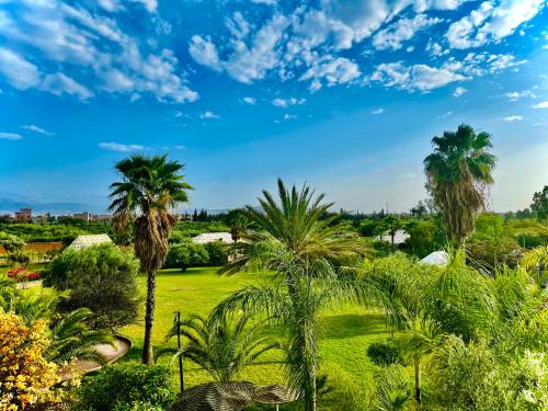 un groupe de palmiers dans un parc dans l'établissement Les Jardins D'issil, à Ourika