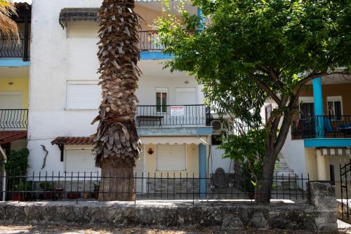 a palm tree in front of a building at Next to the center!!! in Kallithea Halkidikis