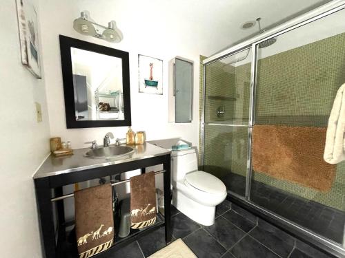 a bathroom with a toilet and a sink and a shower at Gorgeous Ski On/Off 2 BR Sleeps 8 Jiminy-Must See Luxury in Hancock