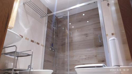 une salle de bain avec une douche avec des toilettes et un lavabo dans l'établissement Trbol Trail Mountain La Palma Vistas Al Mar, à Tazacorte