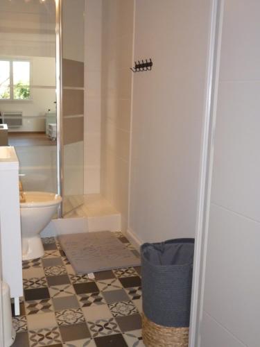 a bathroom with a shower and a toilet at Gîte en pleine nature, A la douceur des Chênes in Maubec