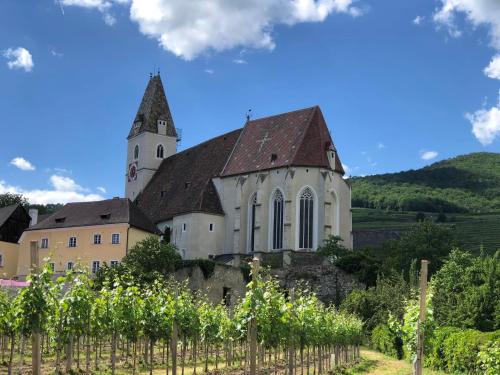 an old church with a tower in a vineyard at APARTMENT ZUM ROTEN TOR in Spitz