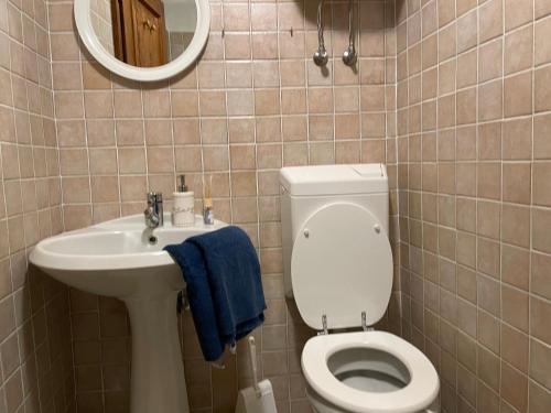a bathroom with a toilet and a sink and a mirror at Maso Mandrea in Arco