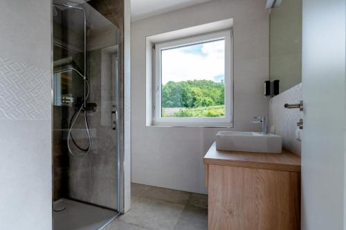 baño con ducha, lavabo y ventana en Landhaus Bad Gleichenberg en Bad Gleichenberg