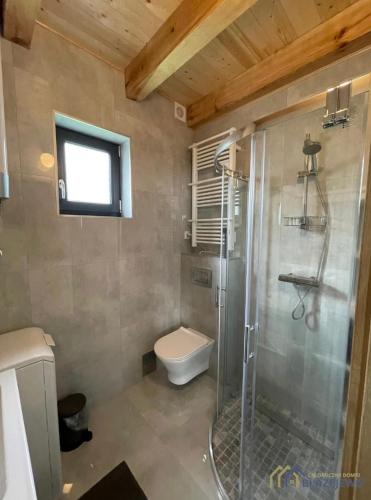 a bathroom with a shower and a toilet at Domki Błażejewo in Łukęcin