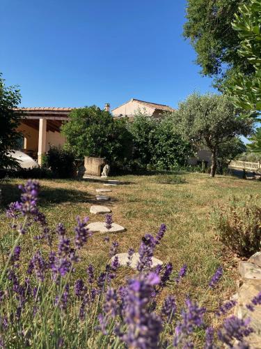 a garden with purple flowers in the grass at Villa Câline chambres d'hôtes in Vesseaux