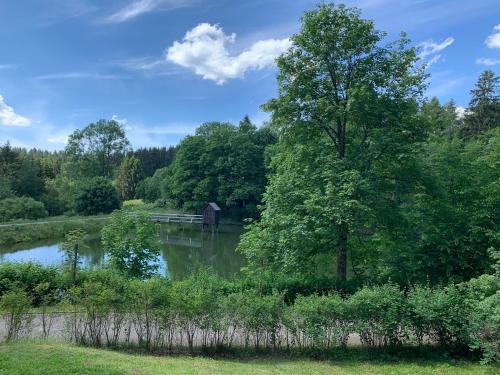 un estanque con un árbol y un granero en la distancia en Haus am Kurpark, en Clausthal-Zellerfeld