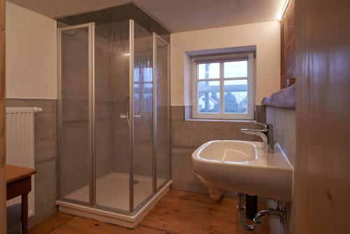 a bathroom with a shower and a sink at Ferienwohnung Oberlausitzer Hof in Leutersdorf