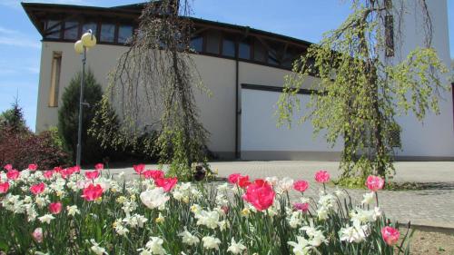 Ein Garten an der Unterkunft apartmány LUHA