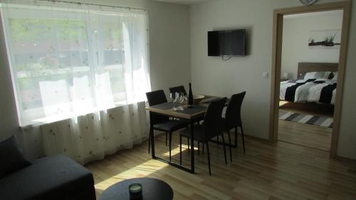 TV/Unterhaltungsangebot in der Unterkunft apartmány LUHA