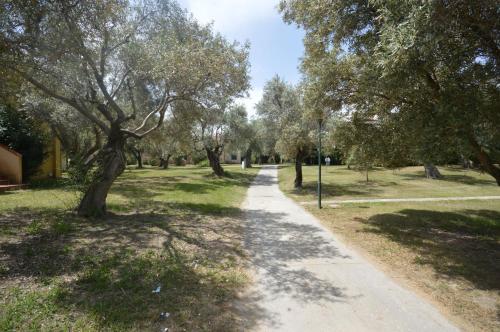 a walking path in a park with trees at Cozy Silvia in SantʼAndrea Apostolo dello Ionio