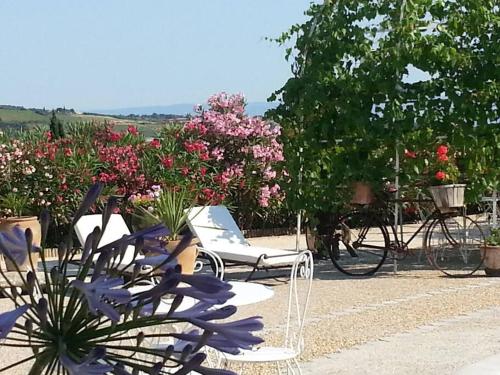 een paar stoelen en bloemen in de tuin bij Gîte en Pays Cathare in Pomas