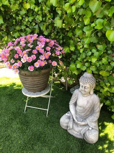 Photo de la galerie de l'établissement Gîte en Pays Cathare, à Pomas