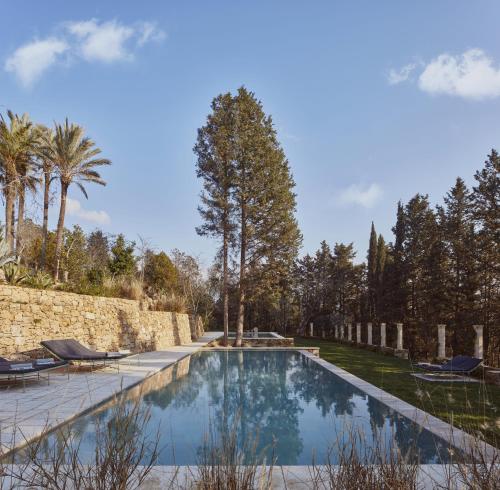 a swimming pool in a yard with palm trees at Castle Elvira - The Castle & The Cottage in Trepuzzi